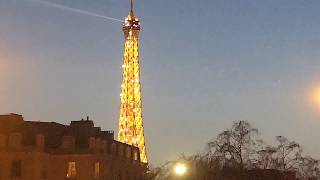 2019 02 22 Paris, pont Alexandre III