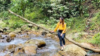 Wayanad vlog part 2  | 900 kandi wayanad | Wayanad travel guide