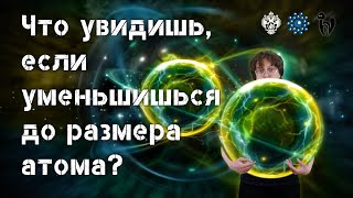 Что увидишь, если уменьшишься до размера атома?