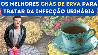 10 CHÁS PARA INFECÇÃO URINÁRIA