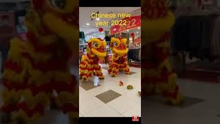 chinese new year 2022