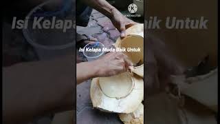 Manfaat Air Dan Isi  Kelapa Muda Bagi Kesihatan #shorts