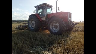 Talerzowanie i Głęboszowanie 2019 URSUS/ MASSEY FERGUSON