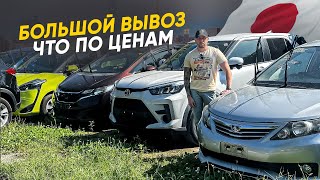 АВТО ИЗ ЯПОНИИ: ЧТО КУПИТЬ И ВО СКОЛЬКО ЭТО ОБОЙДЕТСЯ ❓