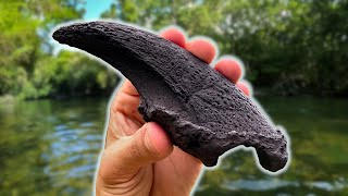 We Found an EXTINCT Ground Sloth CLAW in the River While Fossil Hunting in Florida!