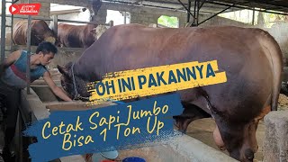 TIPS PAKAN CETAK SAPI 1 TON❗ LANGSUNG DARI KANDANG MAS HERI PONOROGO