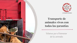 Transporte de Animales Vivos | Su Ganado en las Mejores Manos