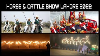 Horse and Cattle Show Lahore 2022  | Pakistani reaction | Fortress Stadium Lahore | Pakistani Vlogs