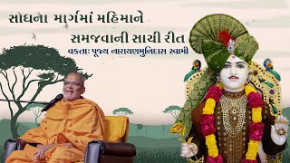 સાધના માર્ગમાં મહિમાને સમજવાની સાચી રીત||Sadhu Narayanmunidas Swami||Baps Katha ||Swaminarayan Katha