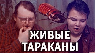 ПРОБУЕМ ЖИВЫХ ТАРАКАНОВ