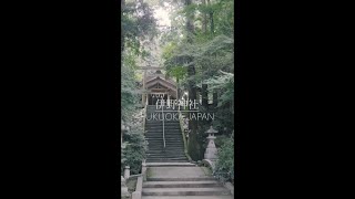 【福岡 観光】鳥居を抜けると空気が変わる神域〜A shrine where the air changes when you pass through the torii〜 #shorts