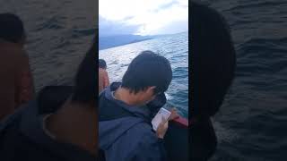 SENJA MENYEBRANG DI KAPAL FERRY DANAU TOBA 2017