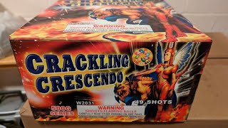 Crackling Crescendo 49 Shot Firework