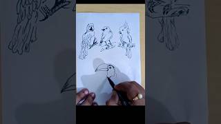 Bird drawing shorts #viral #youtubeshorts #birds #shorts