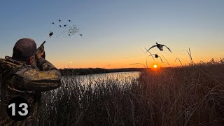 Duck Hunting / 3 Man Limit! / Mallards In Our Face and I Didn't Call The Shot!?