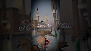 Meri_Ulfat_Madine_Se_Yuhi_Nahi_Mera_Aaqaﷺ_Ka_Roza_Madine_Me_Hain#madinewale_#gulam_e_mustafa_8