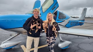 Cirrus SR22T Puppy Rescue Flight with Mom!