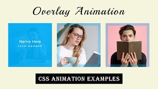 CSS Hover with Text Overlay Effect | CSS Animation Examples