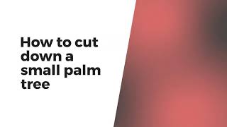 How to cut down a palm tree without a chainsaw - gardenley