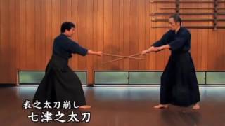 Tenshin Shoden Katori Shinto Ryu: 2nd tachi kata