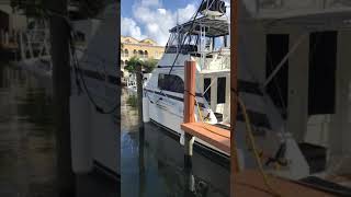 Fishing Charter Catch Fish Now