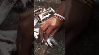 chote chote machli ki safai #fishcooking #fishcutting #fishing #shorts