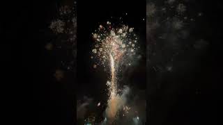 Argento MINERVA / Pyrolango #fireworks #silvester #youtubeshorts