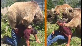 Un OSO de 200 kilos se monta encima de una persona - Amistad entre animales y humanos.