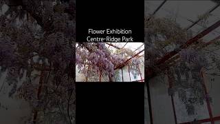 Flower exhibition center -Ridge park Gangtok #shortsvideo #gangtok