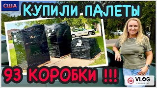 Купили огромные палеты! 93 коробки! Распаковка iHerb. Что с семенами пальм? Наш мини сад😁США.Флорида