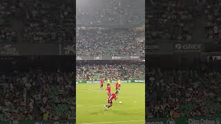 RCD Mallorca!! Rondo de calentamiento en el Villamarín!!! Betis-Mallorca. 23-09-24 #rcdmallorca