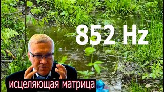 Сеанс №2 852 Hz Матрица Гаряева