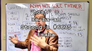 The Bible Does NOT Teach that Adam is the Father of All Humans