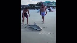 HOW SAD | Florida Meatheads Abuse & Kill A Shark! 🦈