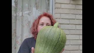 Episode 15: I grew a HUGE pumpkin #gardening #growingfood #life