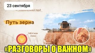 Познавательное видео Путь зерна. Разговоры о важном 23 сентября 2024 год