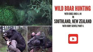 Wild Boar Hunting with dogs and a .44 in Southland, New Zealand. (part 4)