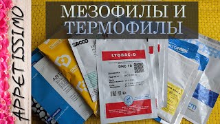 Культуры для сыроделия: МЕЗОФИЛЫ И ТЕРМОФИЛЫ ☆ Закваски для сыра, творога, сметаны: как выбрать