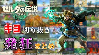 【作業用】キヨの発狂切り抜きまとめ｜ゼルダの伝説 ティアーズ オブ ザ キングダム【キヨ切り抜き】