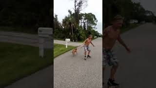 Skating with Sadie  #rollerskates #rollerskating #rollerskatedog