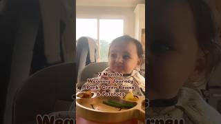 7 Months Weaning #babyledweaning #blw #weaning #weaningbaby #blwideas #babynutrition #7monthsoldbaby