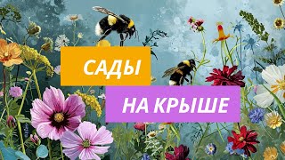 Жизнь шмелей на крышах Лондона. Сады мальтийских рыцарей и рождественский лондон.