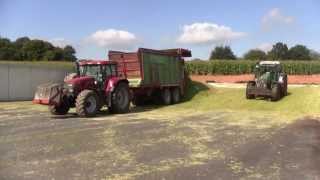 Lohnunternehmen Lölkes häckselt mais mit Claas jaguar 940 und Case,Claas,Fendt,MF [HD]