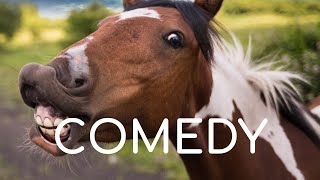 Comedy Background Music No Copyright Free Funny Music