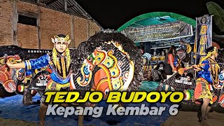 TEDJO BUDOYO Kepang Kembar 6 Live Bengkuring || ADEM AYEM Audio