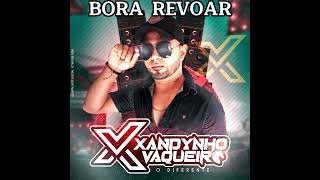 xandynho vaqueiro.Bora Revoar