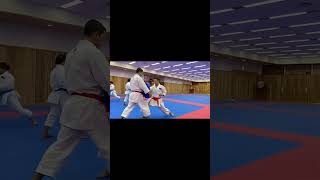 Karate Training #shorts#shortsfeed#karate#martialarts#figth#trending#ytshorts#friendofgod#status