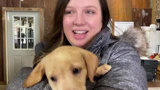 Visiting Mossy Oak Kennels! - Picking a puppy!