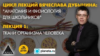 Вячеслав Дубынин: "Ткани организма человека." (Лекция 1)