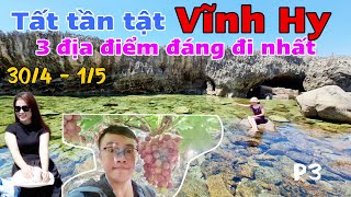 Phượt Vĩnh Hy - P3| Khám phá 3 địa điểm đáng đi nhất Ninh Thuận| VĨNH HY - HANG RÁI - VƯỜN NHO